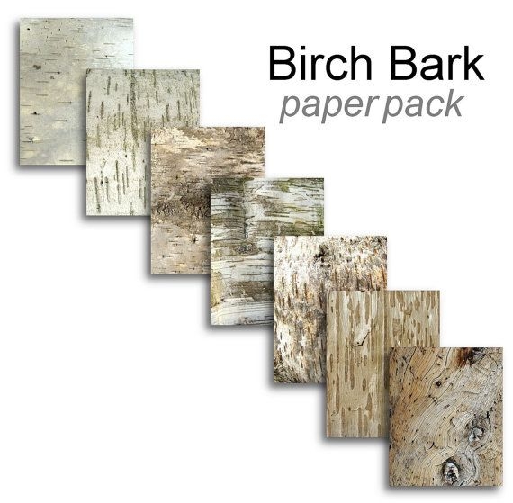 BIRCH BARK Paper Pack Digital Paper Pack 7 Birch Tree Bark Printable 
