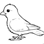 Bird Coloring Page Drawing of eu