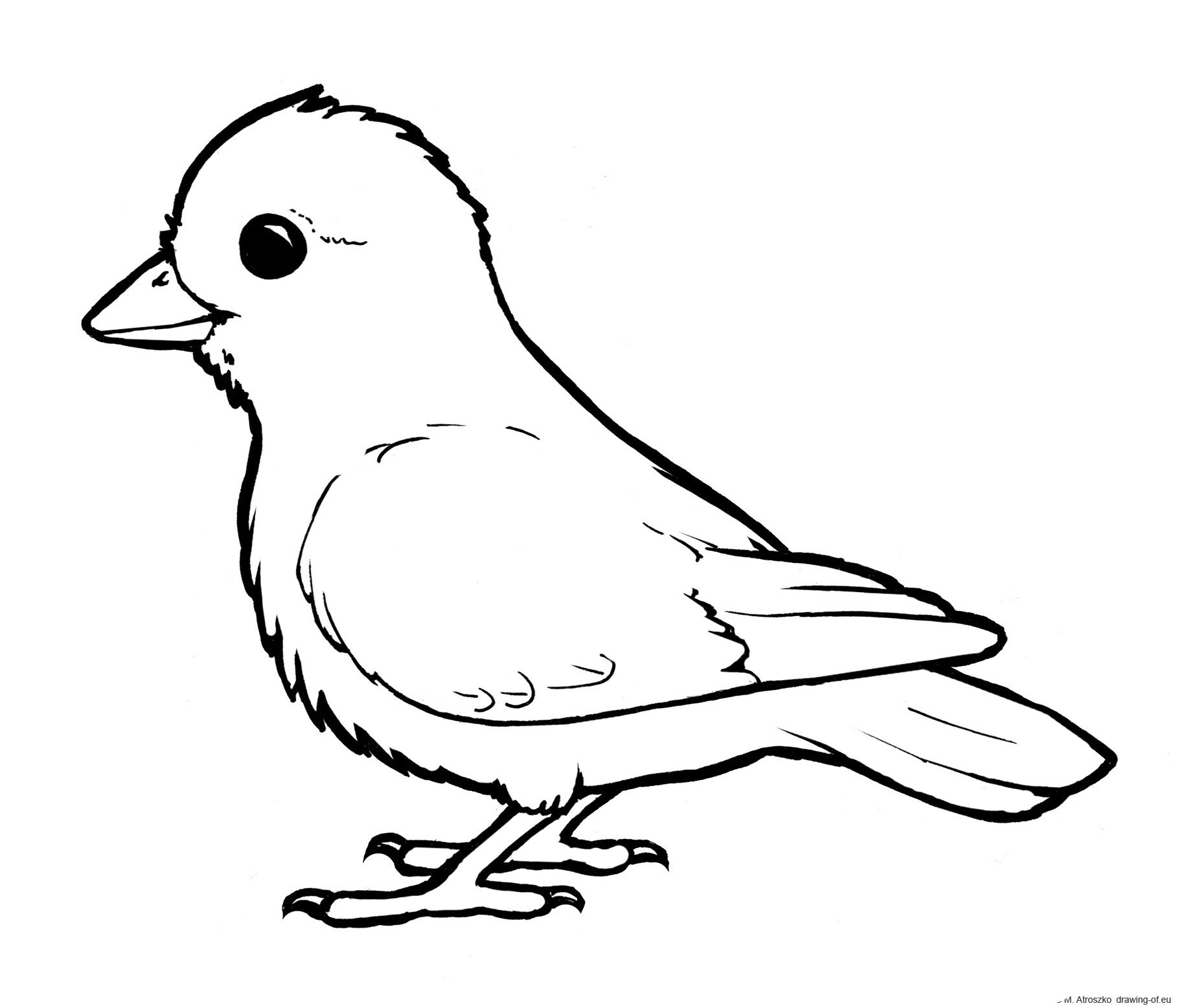 Bird Coloring Page Drawing of eu