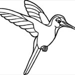 Bird Coloring Pages ColoringBay