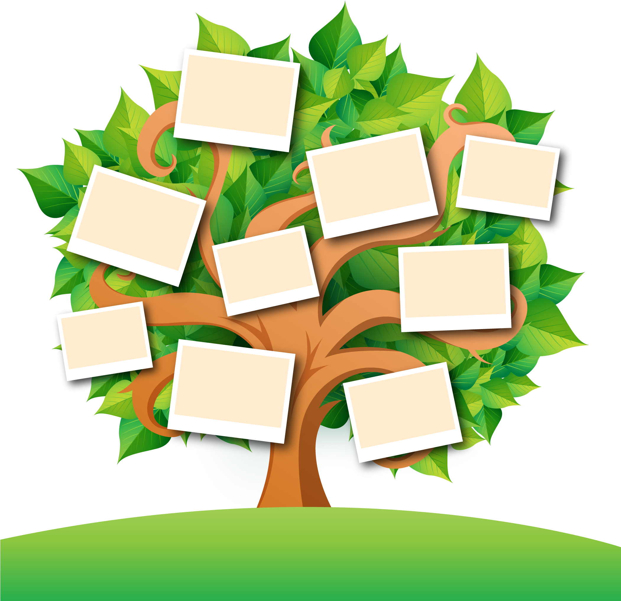 Blank Family Tree PNG