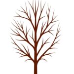 Blank Tree Branch Printable From Glued To My Crafts Cherry Blossom