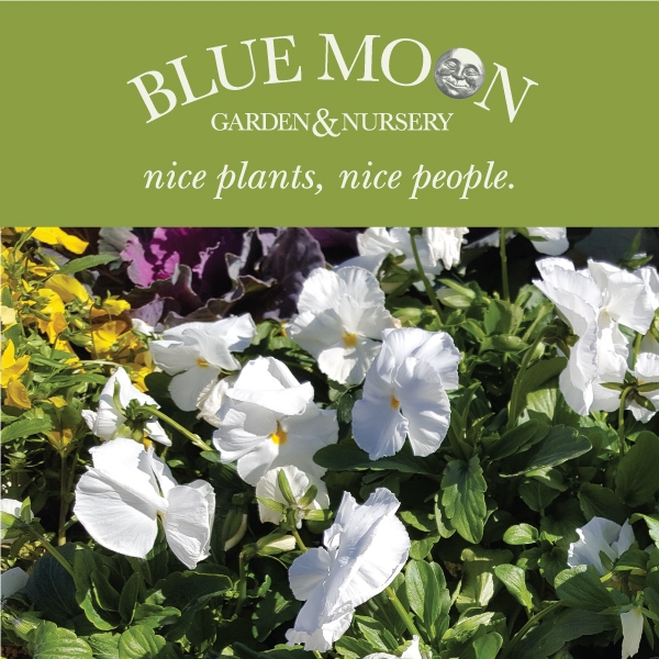 Blue Moon Garden Nursery NNBA