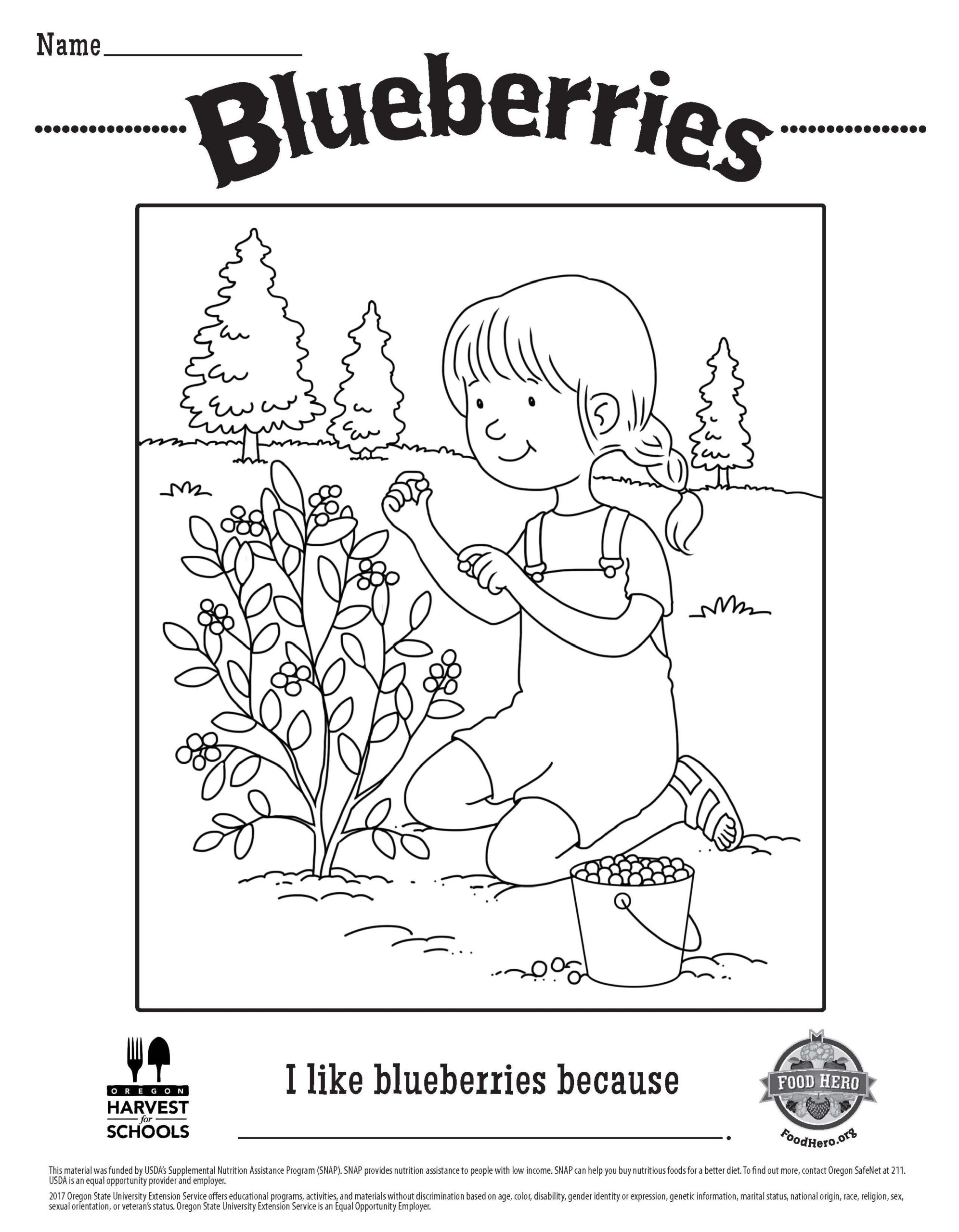 Blueberry Free Printable Children 39 s Coloring Sheet Food Hero Kids 