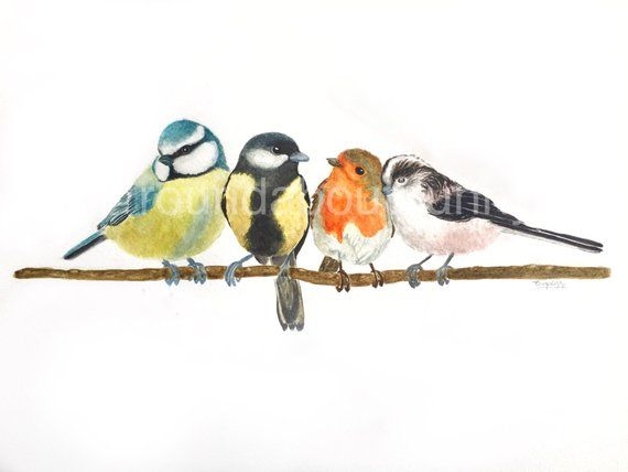 British Garden Birds Print Birds Prints Woodland Art Prints British 