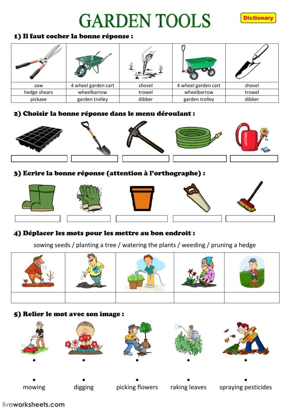Bugs And Gardens Spring Worksheets Worksheets Library