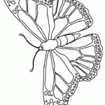 Butterfly Coloring Pages free Printable Butterfly Coloring Pages