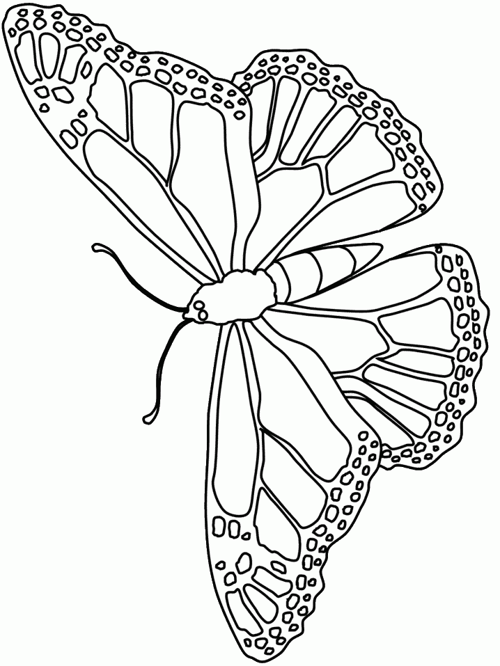 Butterfly Coloring Pages free Printable Butterfly Coloring Pages