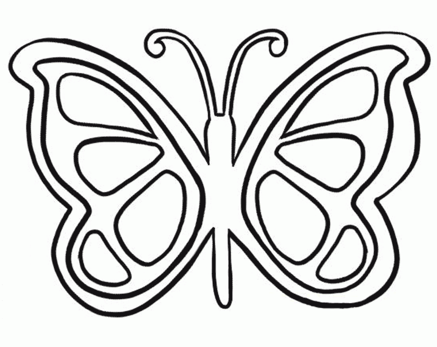 Butterfly Template Printable ClipArt Best