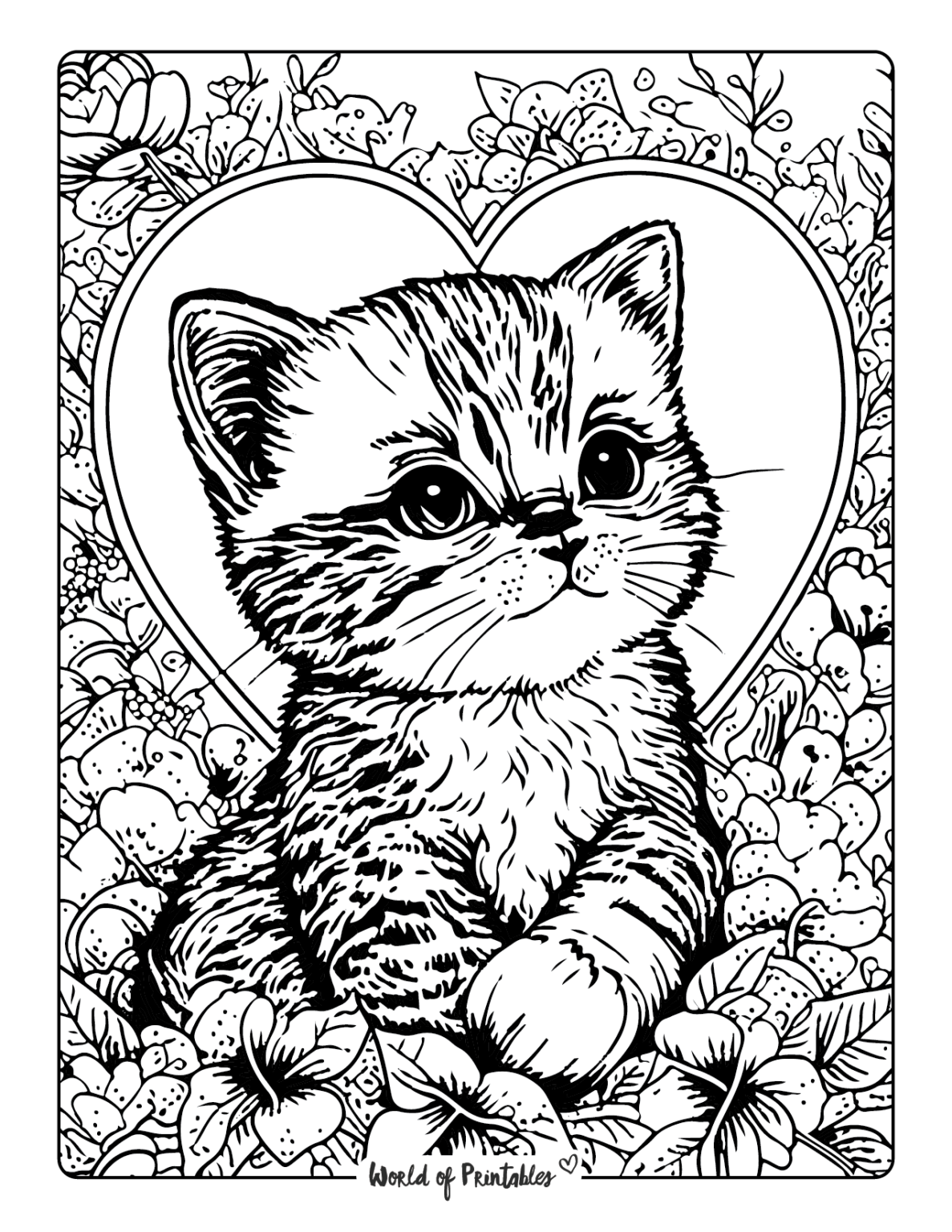Cat Color Pages