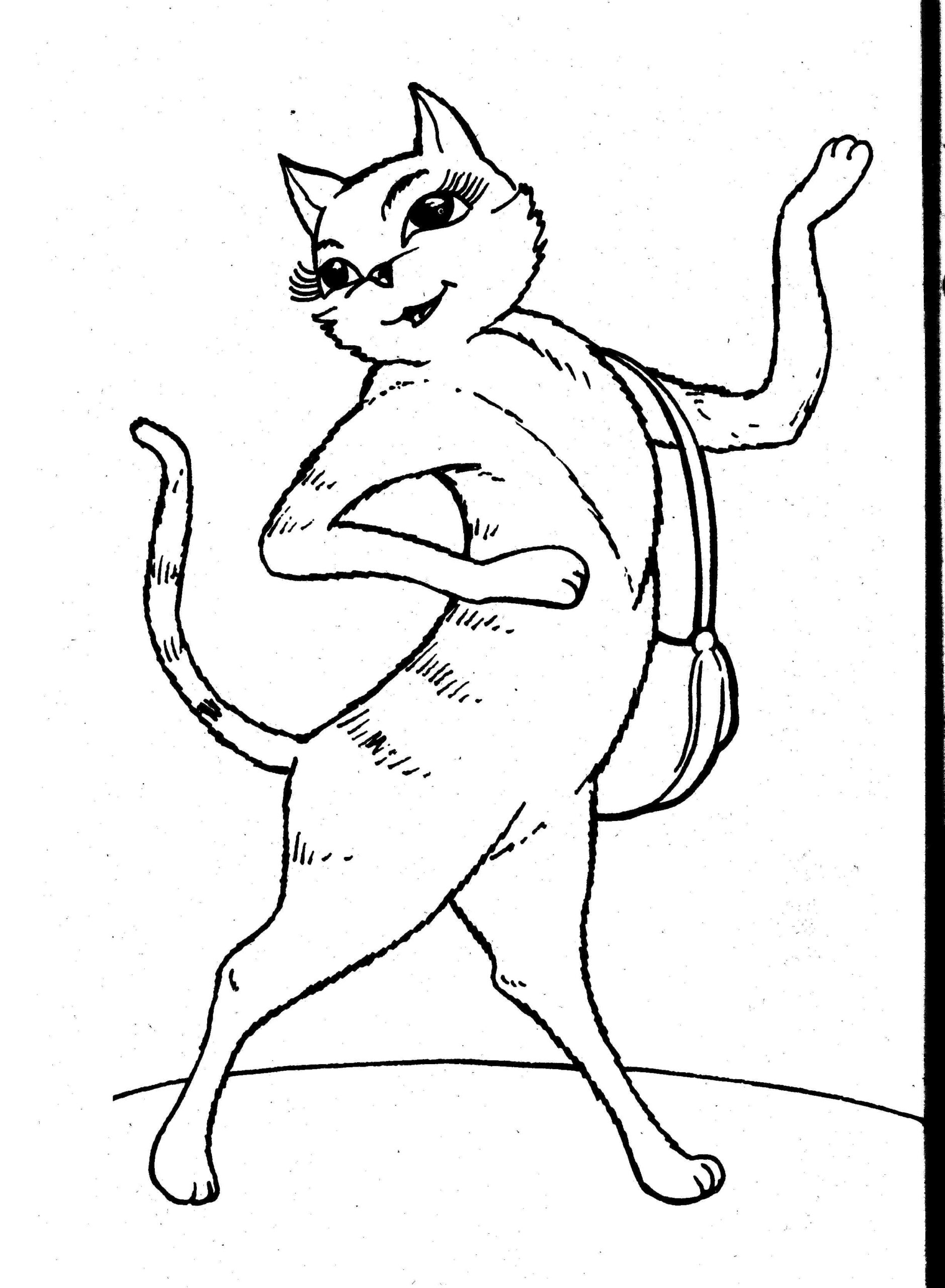 Cats Coloring Pages Coloring Kids