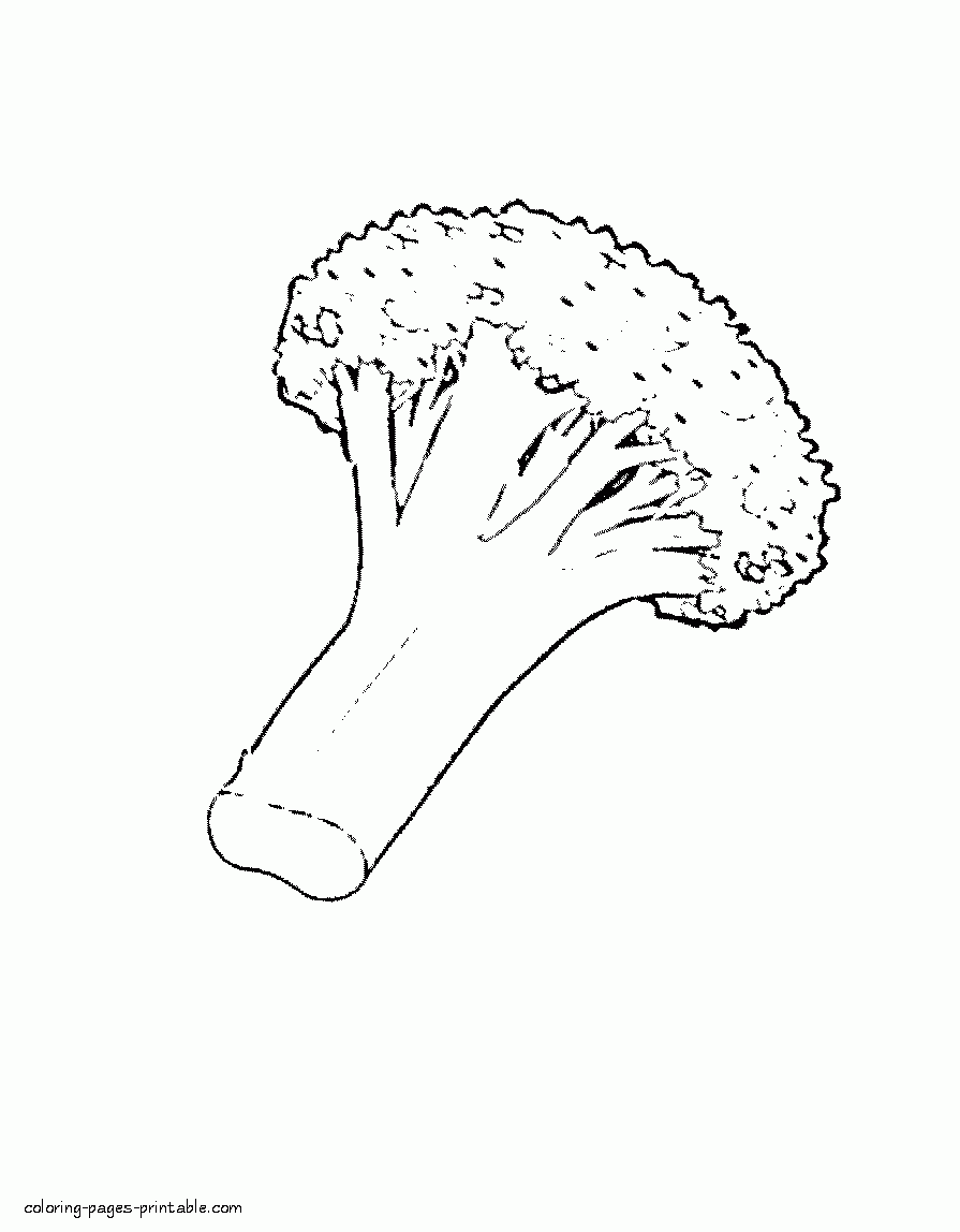Cauliflower Coloring Pages For Preschoolers COLORING PAGES PRINTABLE COM