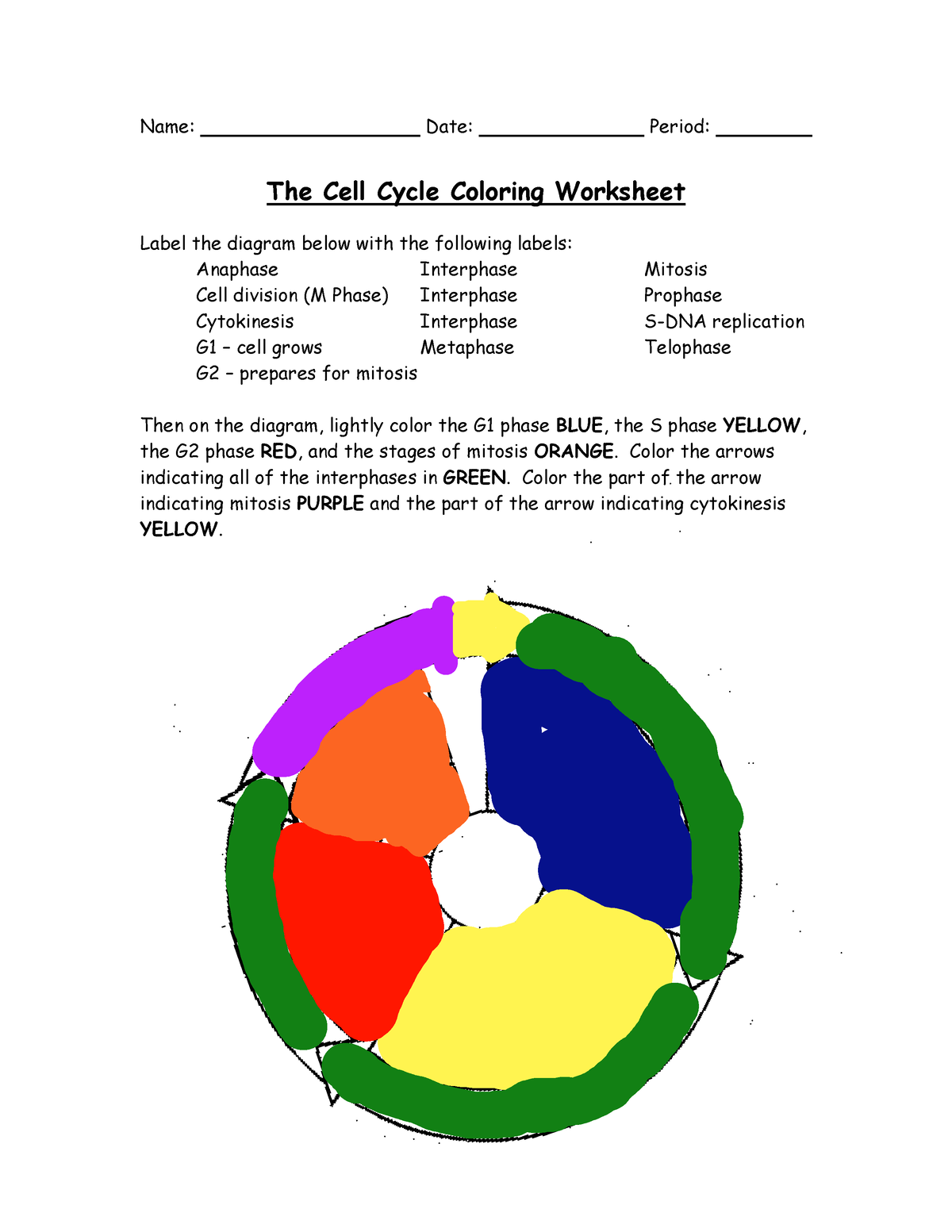 Cell Cycle Worksheet N A Name Date Period The Cell Cycle 