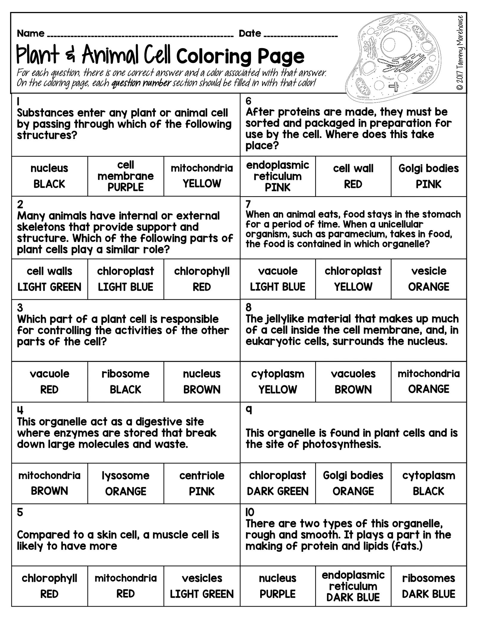 cell organelles worksheet