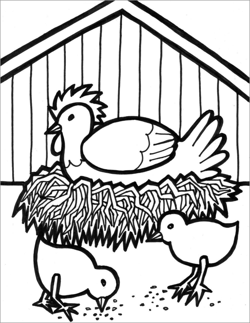 Chicken Coloring Pages ColoringBay