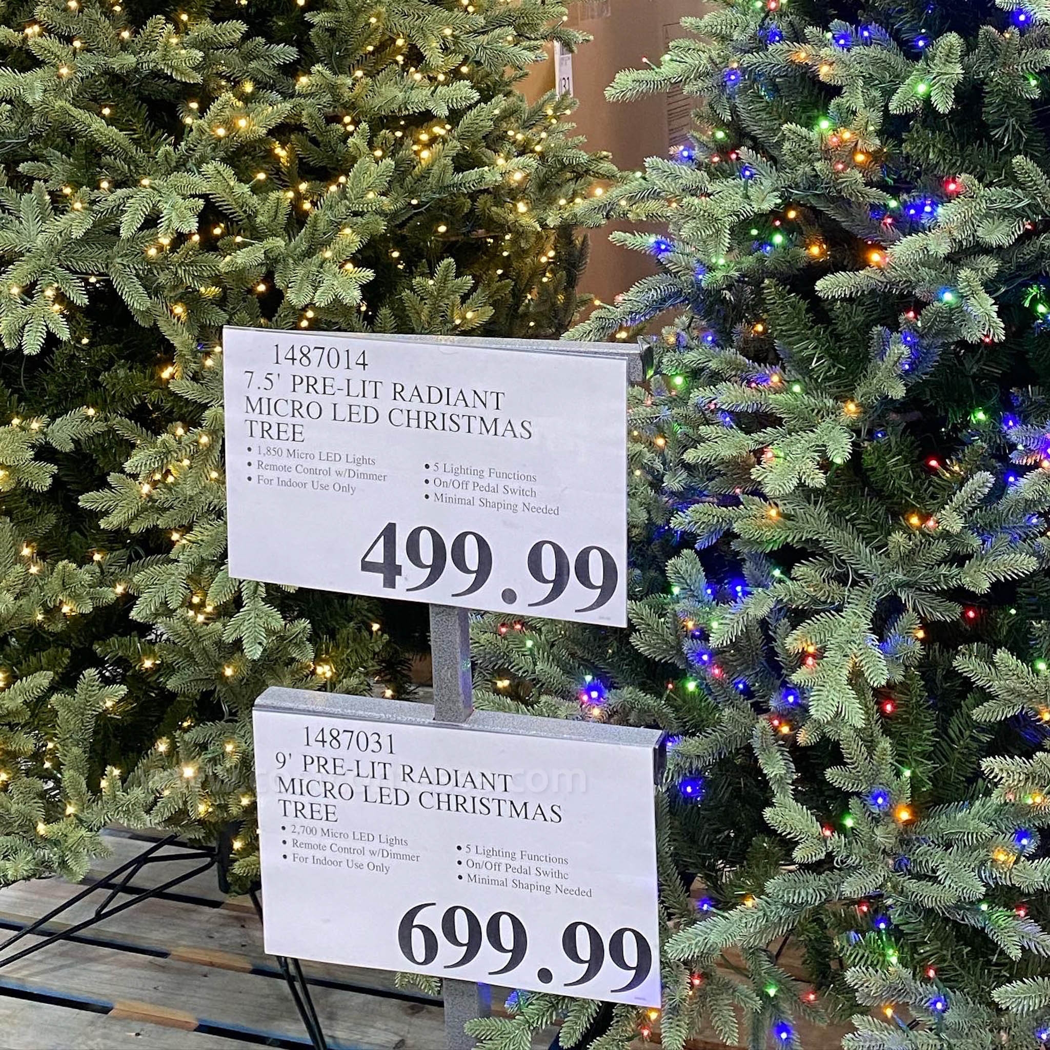 Christmas Tree Cost 2025 Uk Midge Susette