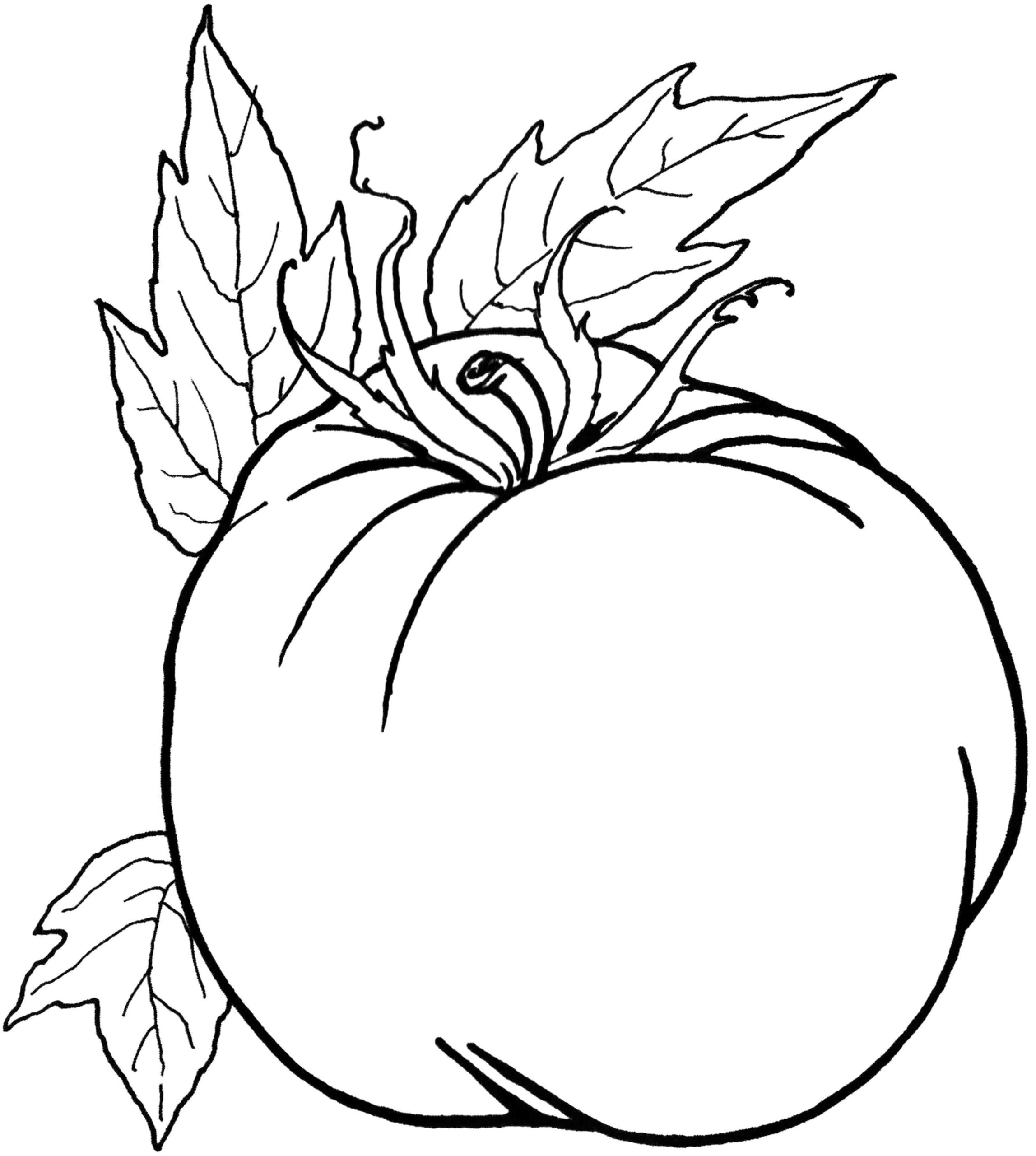 Clipart Panda Free Clipart Images