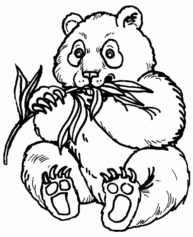 Clipart Panda Free Clipart Images