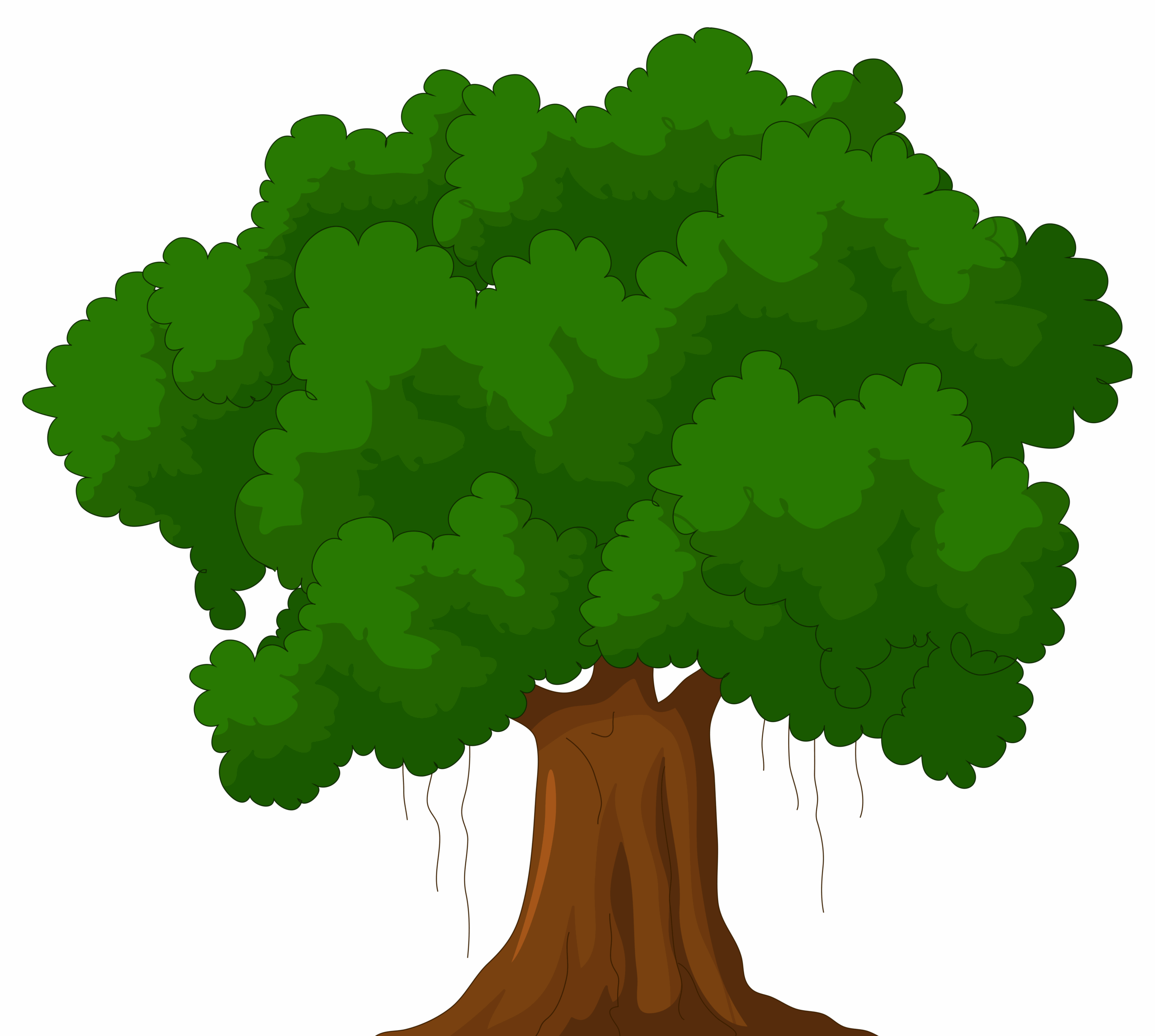Collection Of Narra Tree PNG PlusPNG