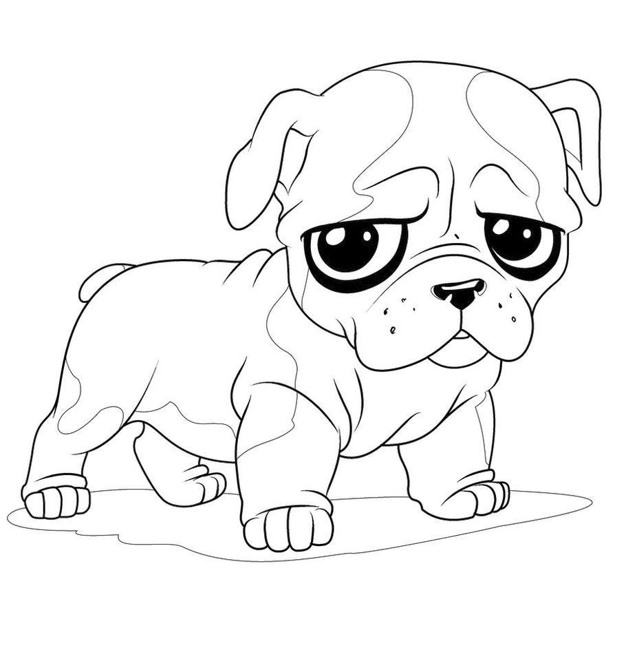 Coloring Pages Animals Cute