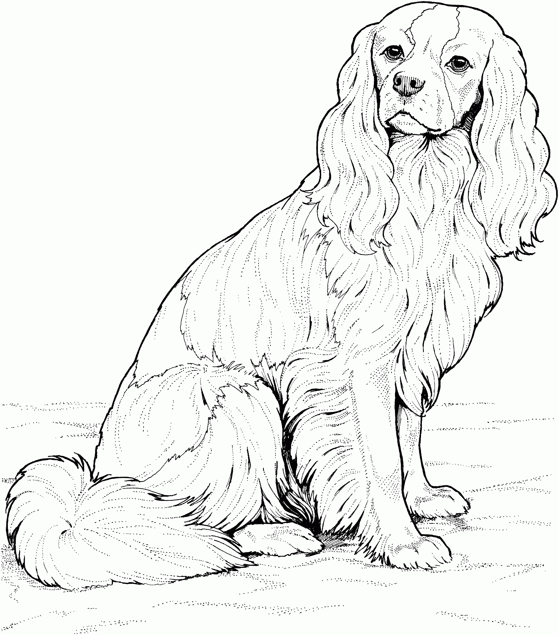 Dog Coloring Pages