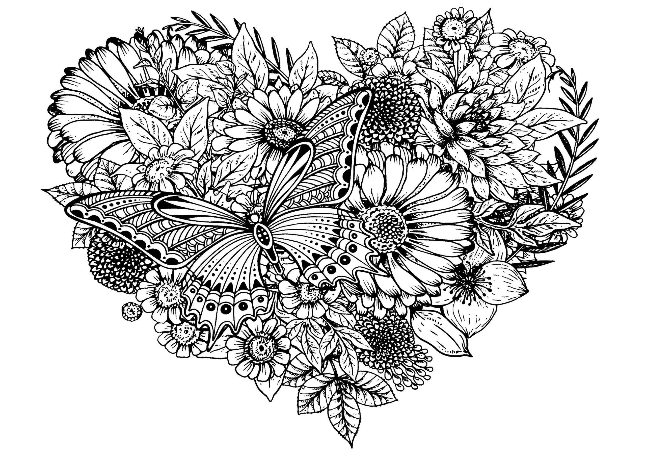 Coloring Pages Flowers And Butterflies Butterflies Homecolor
