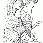 Coloring Pages Of Birds For Adults Hoopoe COLORING PAGES PRINTABLE COM