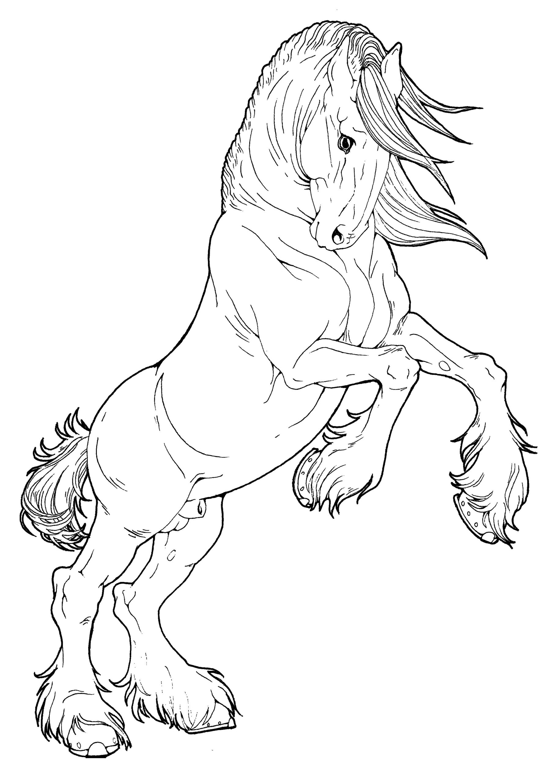 Horse Coloring Pages