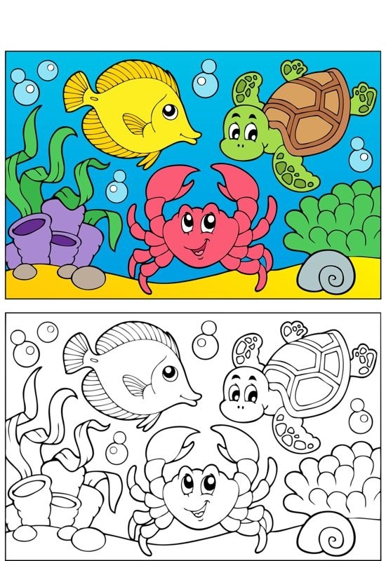 Coloring Pages With Example Coloring Book