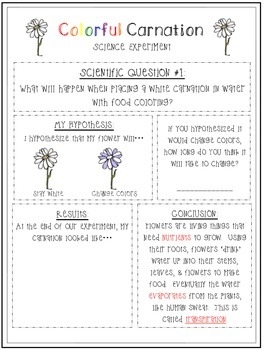 printable food coloring flower experiment worksheet