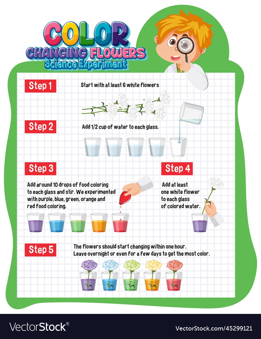 Colour Changing Flowers Science Experiment A Fun Science 