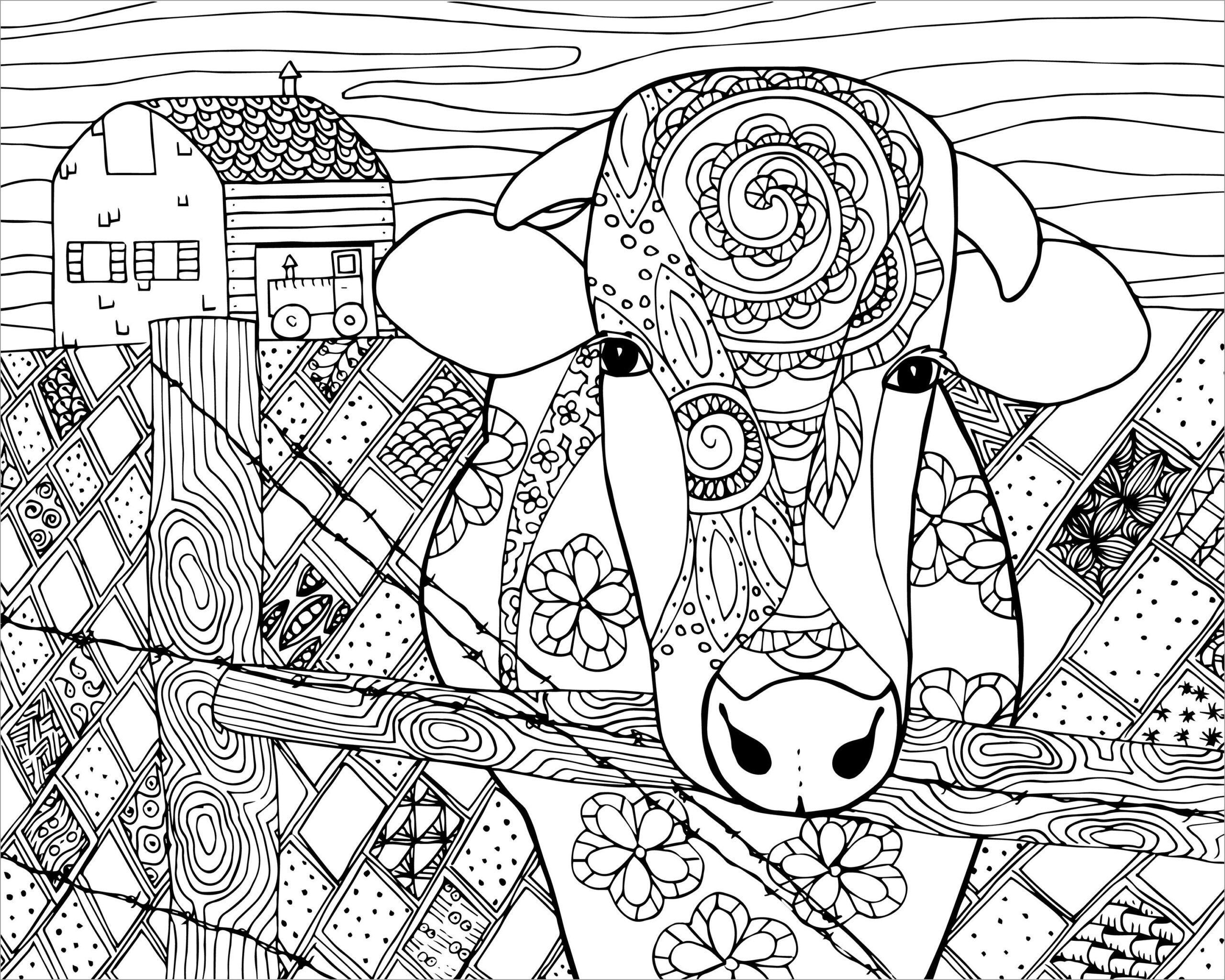 Cow Coloring Pages ColoringBay