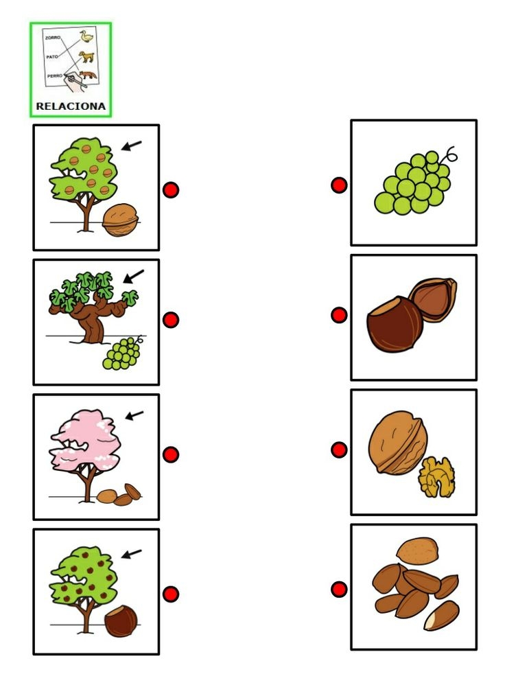 tree worksheet preschool