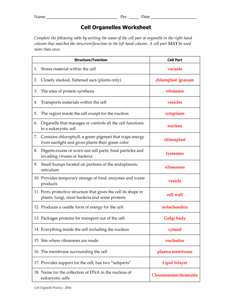 Deloviar Cell Organelle Review Worksheet 1 PDF Cell Biology