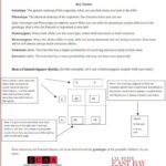 Determining Eye Color Punnett Square Worksheet Pdf With Answers