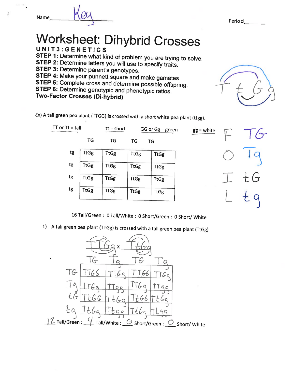 Dihybrid Practice Ws Answer Key BIOC 410 Studocu Worksheets Library