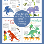 Dinosaur Printables Fact Posters And Cards Dinosaur Facts Dinosaur