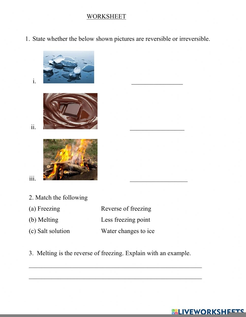 4th grade science worksheets
