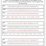 DNA Synthesis Worksheet Simplify And Enhance Your Learning