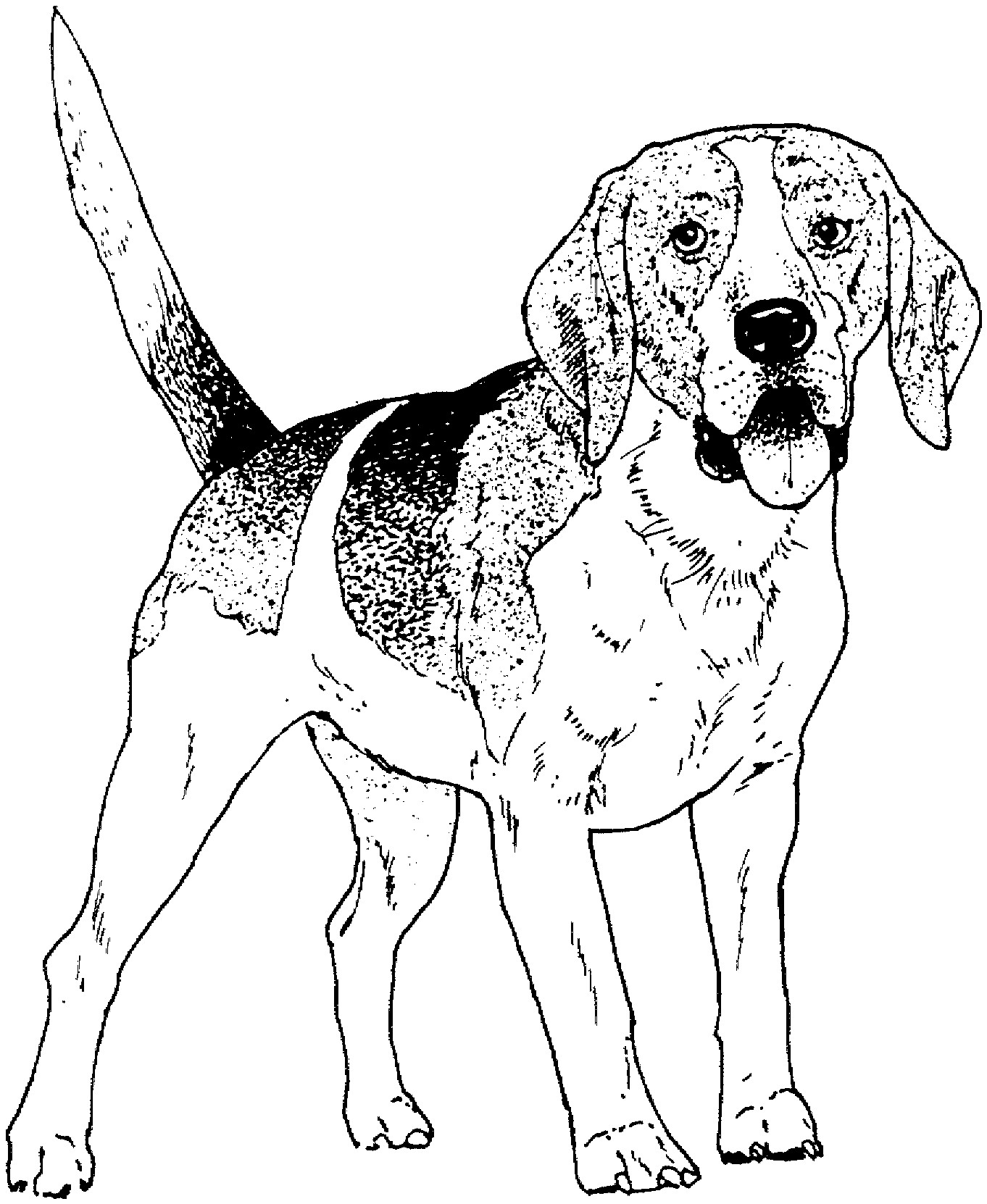 Dog Coloring Pages Printable