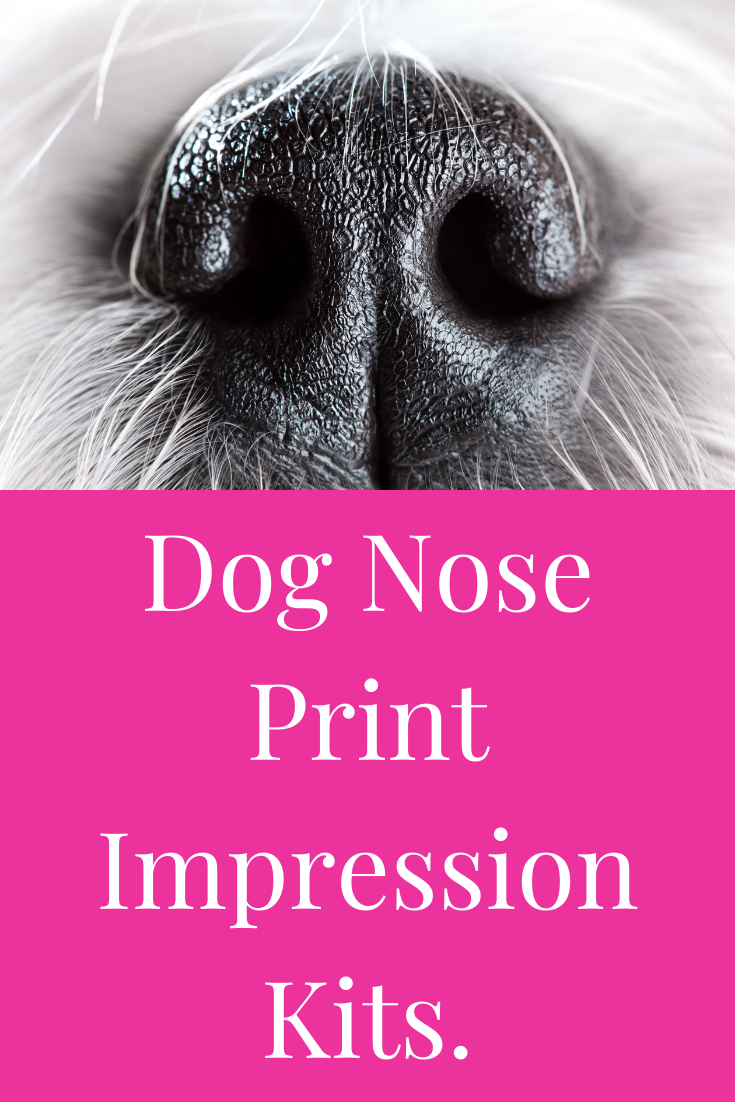 food coloring dog nose print