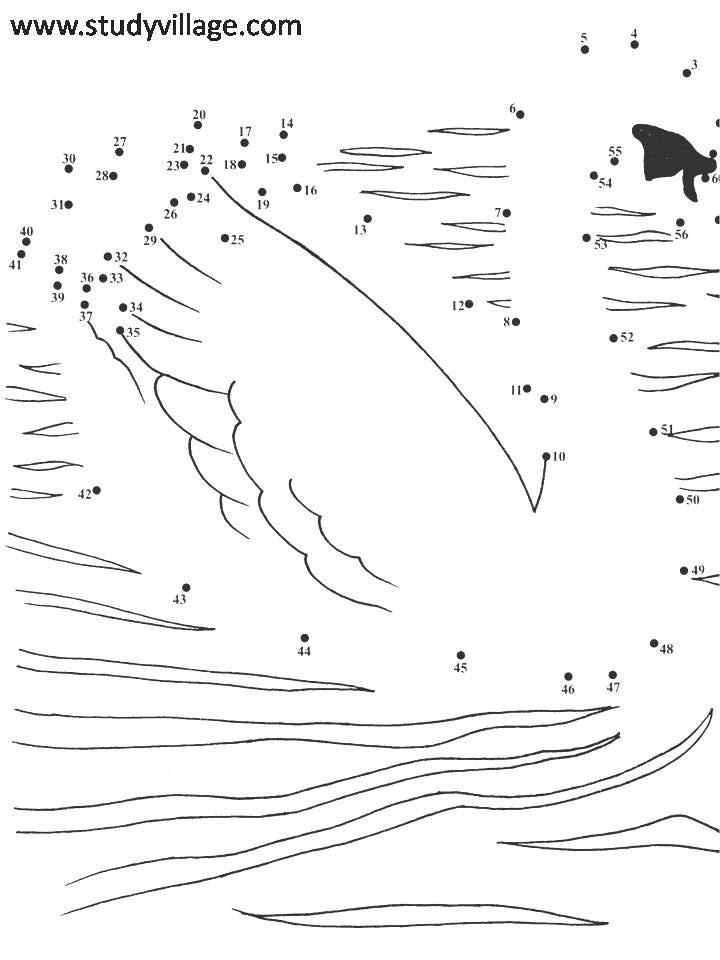 Dot To Dot Worksheet Beautiful Swan