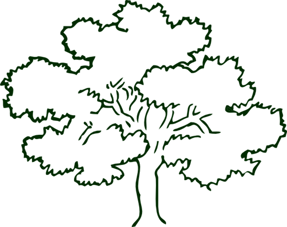 Download High Quality Tree Clipart Narra Transparent PNG Images Art 