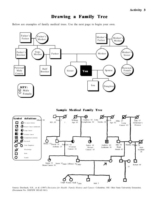 Drawing A Family Tree Instructions Printable Pdf Download