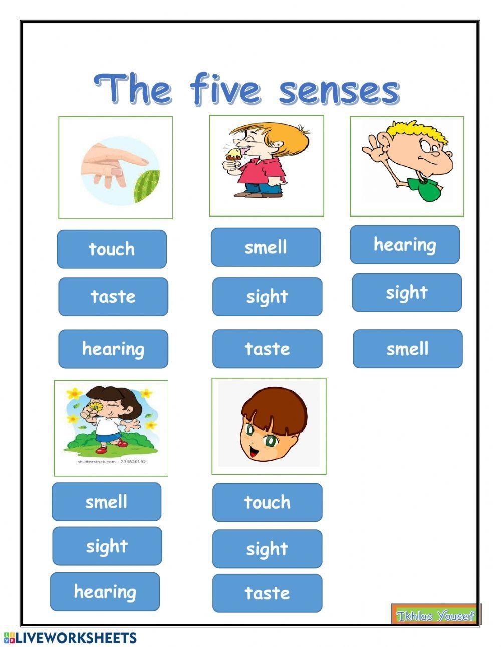 Drawing The Five Senses Worksheet Teaching Resources Worksheets Library