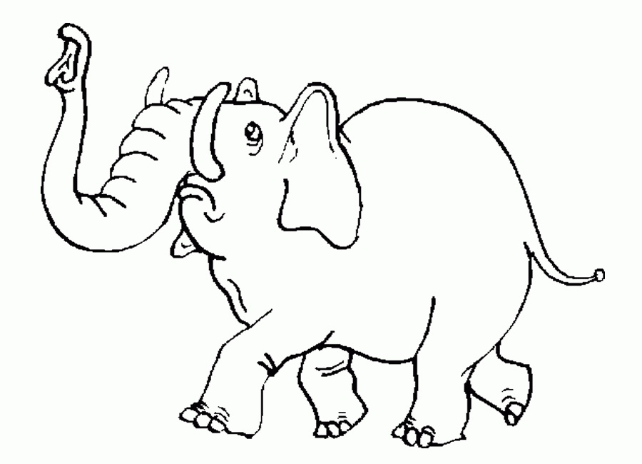 Elephant Coloring Pages Coloring Home