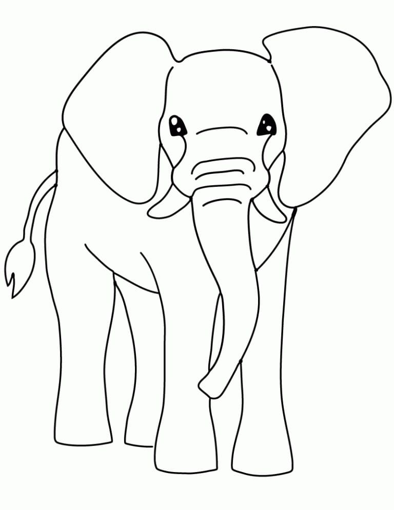 Elephant To Color Coloring Page Free Printable Coloring Pages For Kids