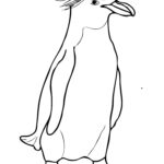 Emperor Penguin Coloring Pages Coloring Home