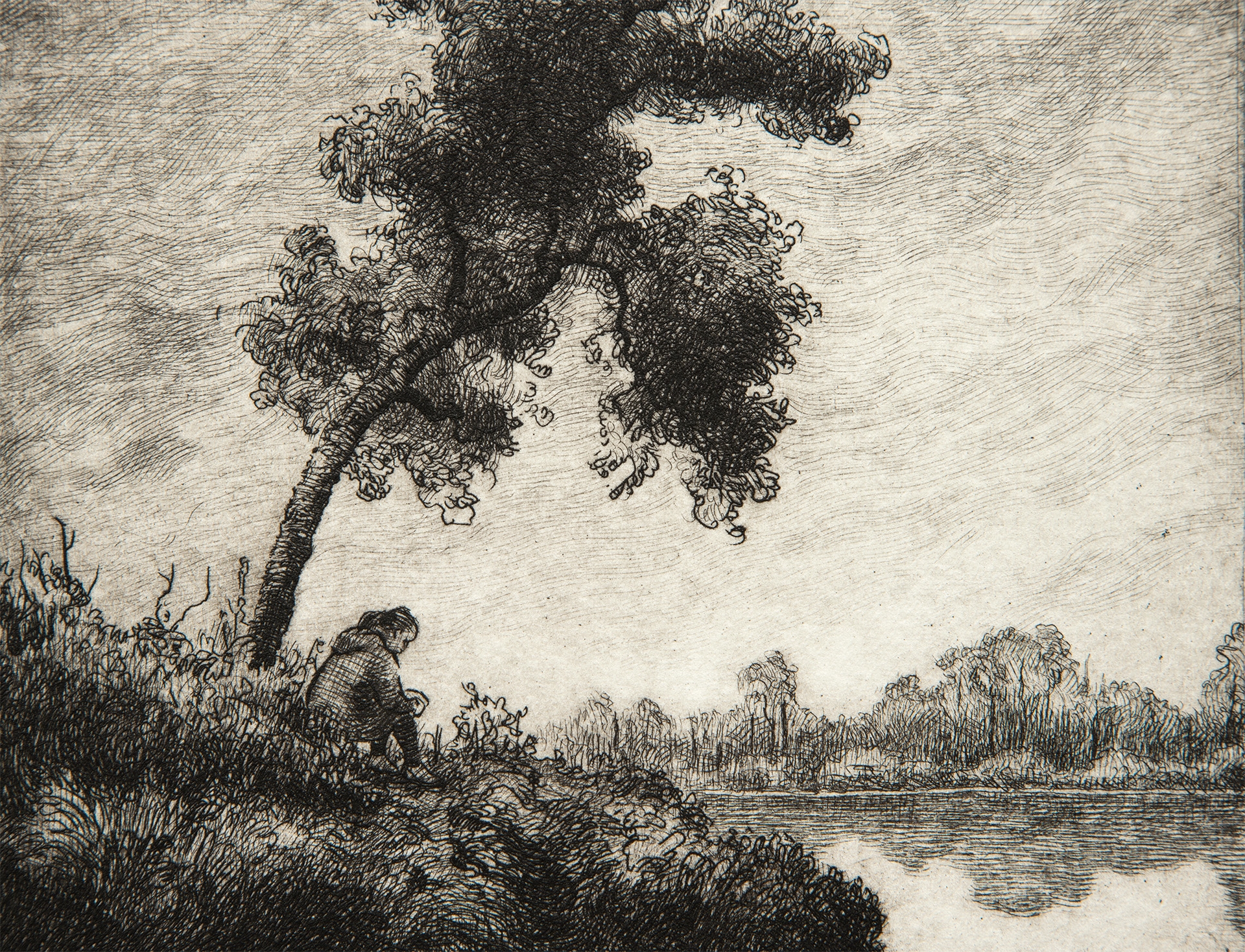 Etching Meditation On A Lake Tree Alex Rydlinski