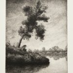 Etching Meditation On A Lake Tree Alex Rydlinski